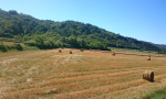 planik-veliki-mali-0001-3-Kopiraj
