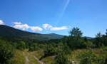 planik-veliki-mali-0001-6-Kopiraj