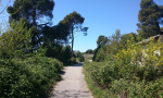 riva-punta-christo-0001a (3)