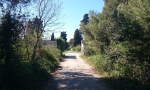 riva-punta-christo-0001a (15)