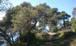 riva-punta-christo-0001a (40)