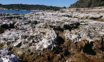 riva-punta-christo-0001a (56)