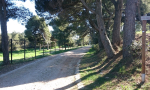 riva-punta-christo-0001a (65)