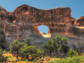 Tunnel Arch
