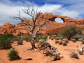 Skyline Arch