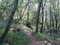 Žbevnica 2