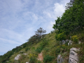 Žbevnica 12
