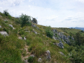 Žbevnica 14