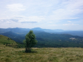 Žbevnica 20