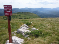 Žbevnica 29