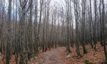 veliki-sneznik-0001-3-Kopiraj