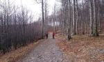 veliki-sneznik-0001-5-Kopiraj