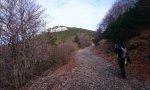 veliki-sneznik-0001-6-Kopiraj