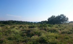 0X0001-29-Kopiraj