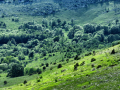 Radlovac, Srednji Velebit