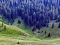 Šegotski padež, Sjeverni Velebit
