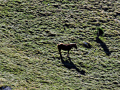 Zavižanska kosa, Sjeverni Velebit