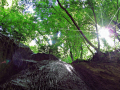 medvednica-01 (15)