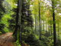 medvednica-01 (61)