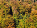 medvednica-01 (66)