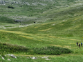 dinara-01 (28)