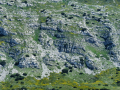 dinara-01 (36)