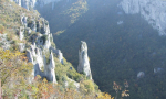 vela draga 0001 1 (1)