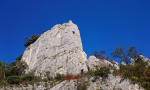 vela draga 0001 1 (11)