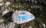 krk-mjesečev-plato-0001-22-Kopiraj