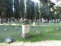 DSCN8568