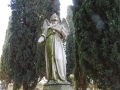 DSCN8595