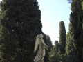 DSCN8596
