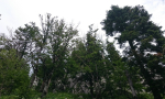 001-6-Kopiraj