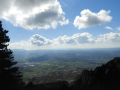 DSCN2375