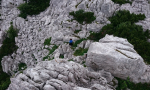 001-34-Kopiraj