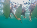 DCIM\104GOPRO\G1278039.