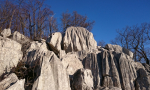rijecki-kamenjak-00000001-27