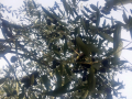 20171025_113918