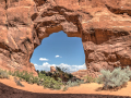 Pine Tree Arch