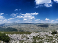 dinara-01 (12)