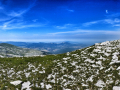 dinara-01 (8)