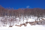 guslica-000001-18