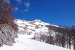 guslica-000001-23