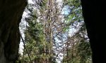hirceva-spilja-na-bukovcu-0001 (11)