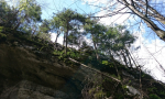 hirceva-spilja-na-bukovcu-0001 (12)