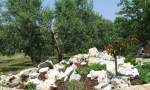 istarska-farma-00000001 (5)