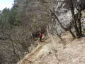 DSCN2361