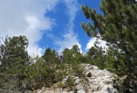 DSCN2378