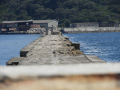 DSCN0728 (Kopiraj)