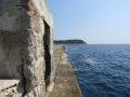 DSCN0750 (Kopiraj)